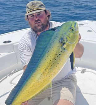 Mahi Mahi Madness Unleashed!