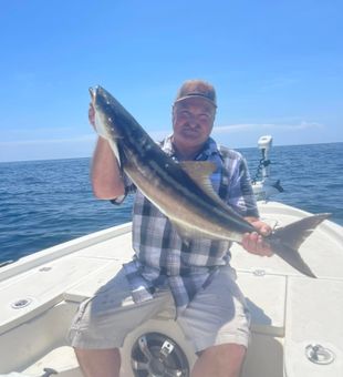 Chunky Cobia — epic offshore catch!