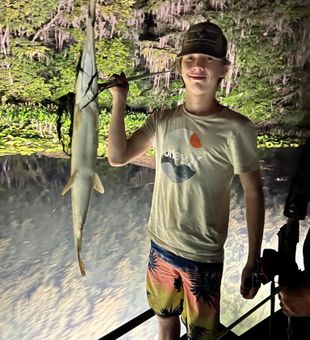 Target fish with bowfishing in Lake City.
