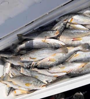 Aim for a catch in Lake City’s lakes.