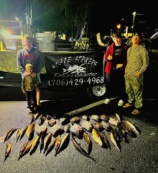 Hookless hunt done right