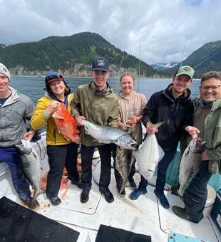 Discover Homer Fishing Charter in Alaska