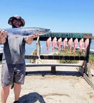 Energetic haul of Mackerel and Snapper!