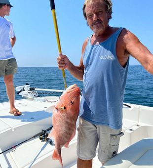 Gulf Shores AL Snapper Bite