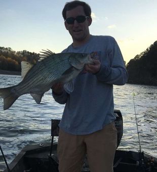 Bass Fishing in Warrior River, Check us out!