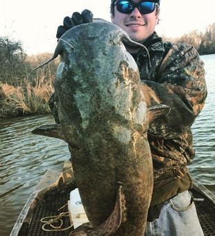 Massive Catfish Caught in Warrior River, Alabama