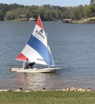 Steady SeaArk 1648 (Jon boat) 