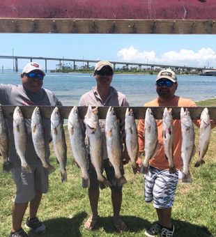 Inshore trophy trout from Port Aransas