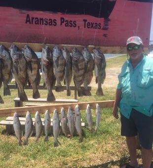 Morning catch, Port A style