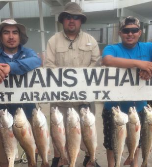 Reds are biting! - Port Aransas, TX.