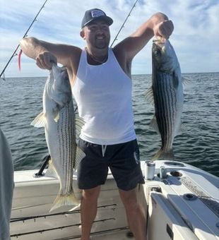 Dual Stripes for today! - Dennis, MA.