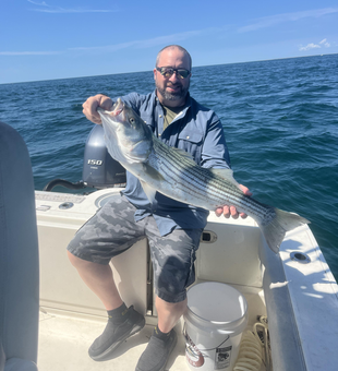 Big 33-inch Striped Bass hooked in Yarmouth's clear waters!
