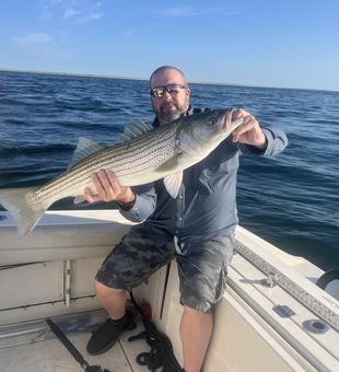 Big 33-inch Striped Bass reeled in off Yarmouth's coast!