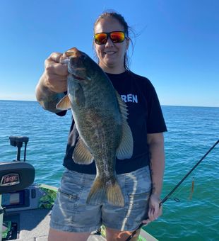 Lake Erie smallmouth fishing	