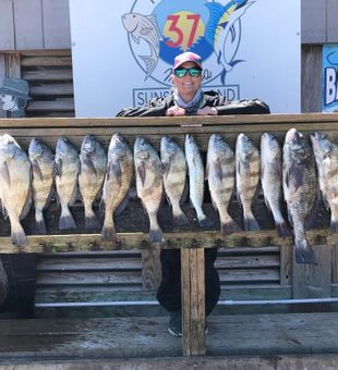 Freezer is stocked 🎣