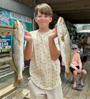 Two hefty speckled trout, proudly landed.