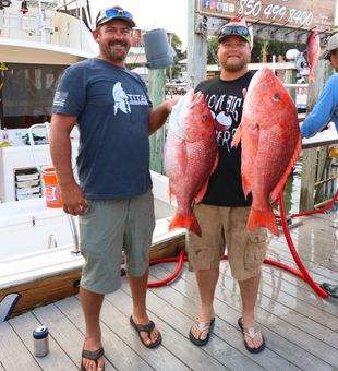 Giant snappers hooked in Destin waters!