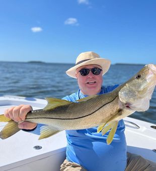 Snook Elegance In Florida Waters