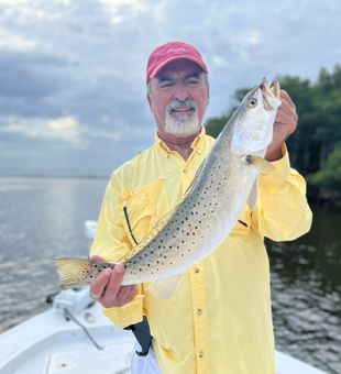 Florida's Trout Elegance