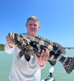 Premier Grouper Fishing In Floirda