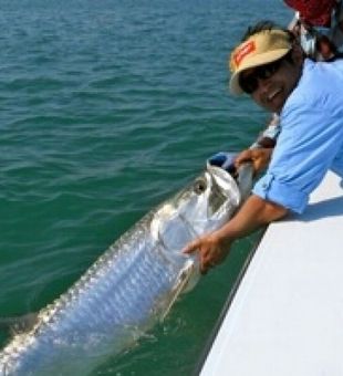 Lines in, stress out.