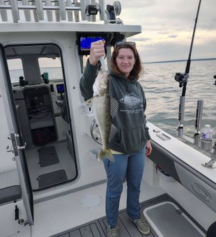 Lake Erie doesn’t miss