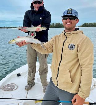 Sarasota Bay catch and release