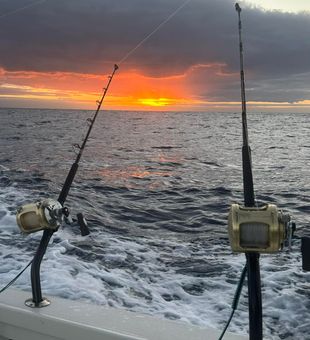 Lihue's fishing paradise: adventure awaits