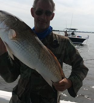 Redfish biting Myrtle Beach piers