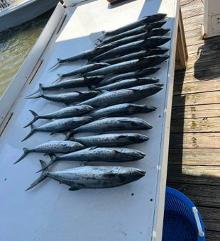 Lines in the water, Gulf Shores style