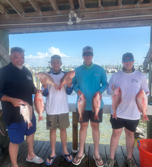 Eight Gulf Shores red snapper making for an epic catch!