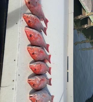 Gulf Shores fishing done right