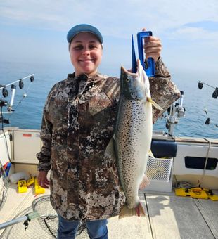 Beautiful Atlantic salmon from Port Washington waters!