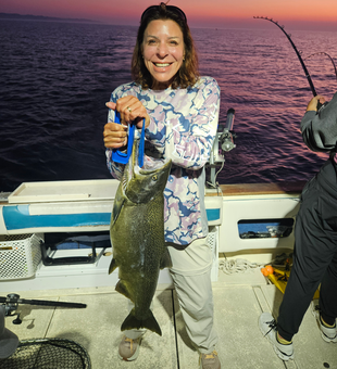 Nice Chinook salmon caught trolling at Port Washington Marina as the afternoon cleared up!