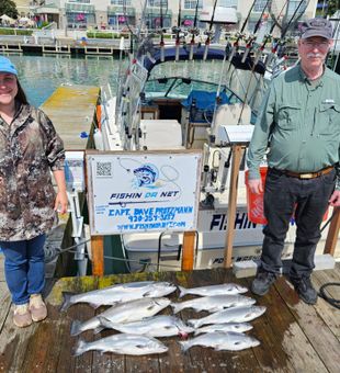 Pink salmon and coho salmon success in Port Washington!