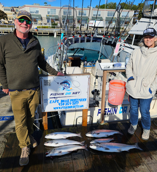 Wisconsin trolling success with Chinook, Pink, and Coho salmon!