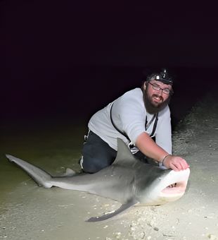 Powerful bull shark catch Sanibel night shark fishing