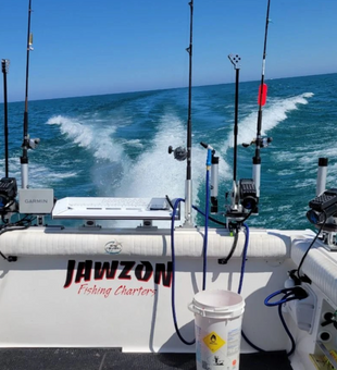 Explore the Waters of Lake Michigan!