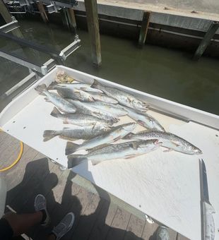 Morning or afternoon, the lake is calling.