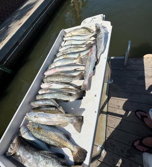 Peaceful waters, endless possibilities.