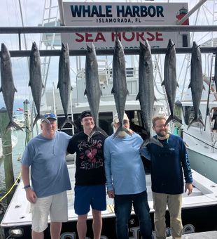 Kingfish haul! 🎣🔥 #KingMackerel