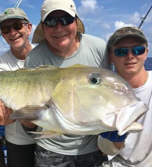 Tilefish are monsters in size here in Successful Charter in Islamorada, FL.