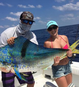 Mahi-Mahi in Islamorada, Florida Keys