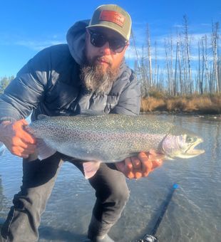 Admiring the gleam of freshly caught trout