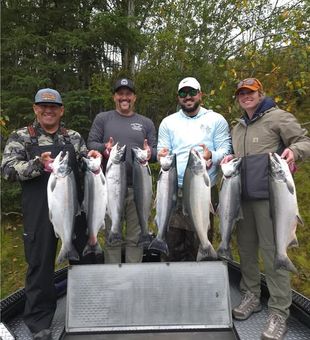 Salmon Run - Kenai River, AK.
