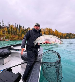 Rainbow Trophy Trout - Kenai River, AK.
