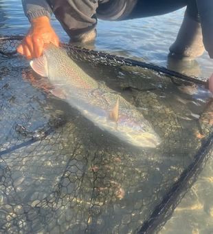 Alaska’s Kenai River Delivers