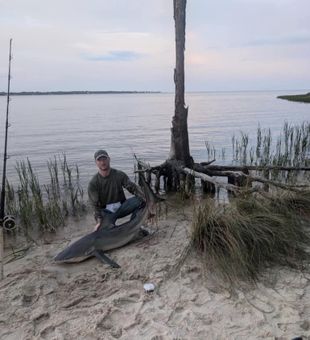 Massive bull shark catch on the sandy shore!