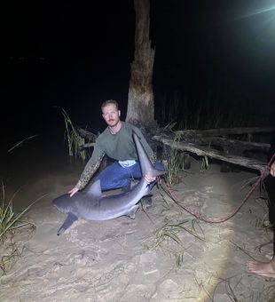 Nighttime bull shark catch!