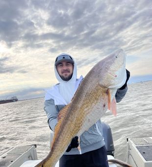 Red Drum Reel-in at Galveston